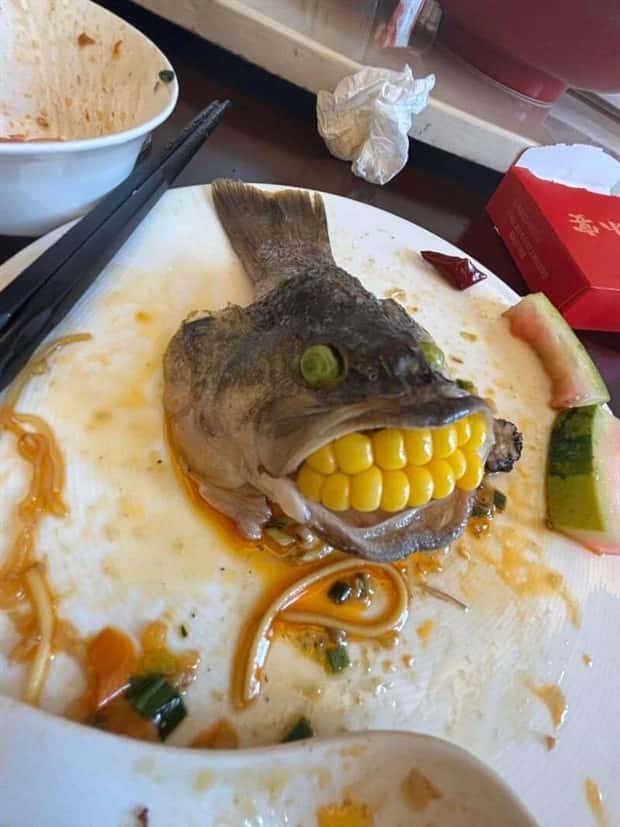 unsettling images (25)