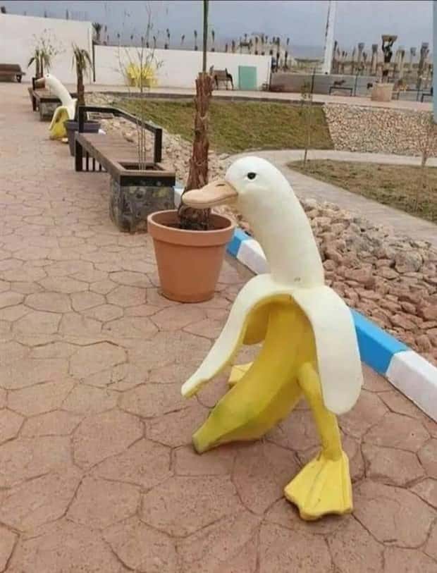 unsettling images (28)