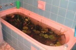 Unsettling Images You Wish You Missed (35 photos)