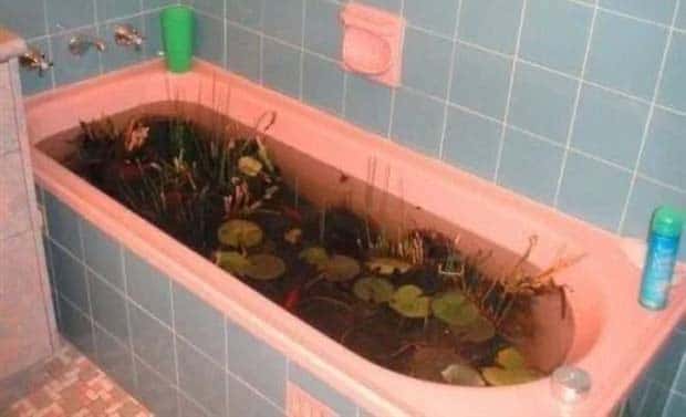 unsettling images (33)