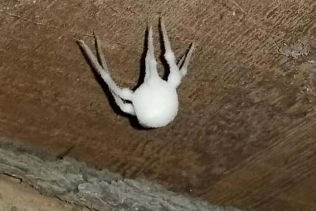unsettling images (5)