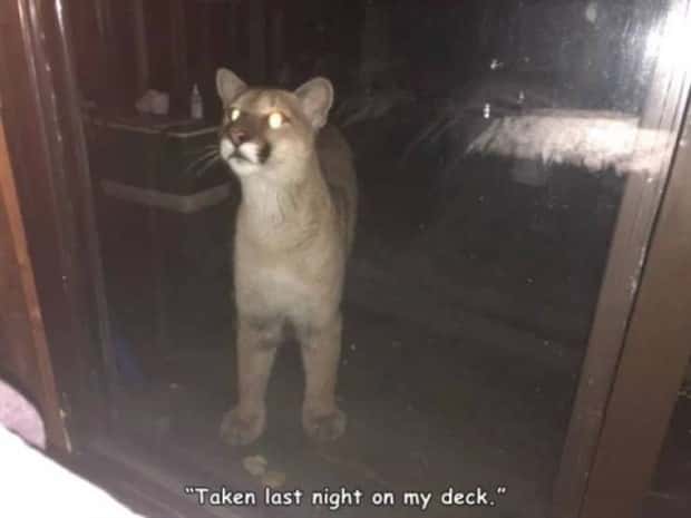weird internet photos (6)