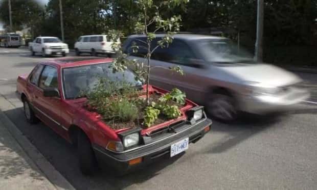 wild custom rides (19)