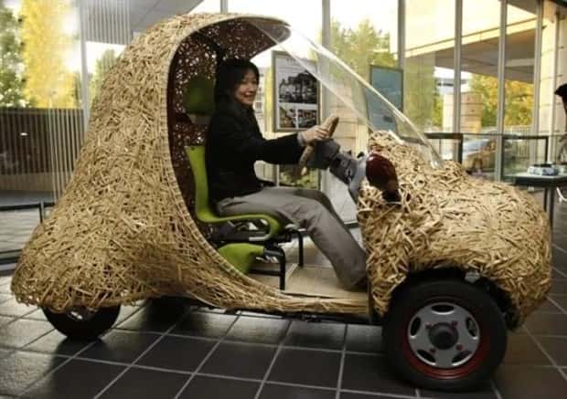 wild custom rides (24)