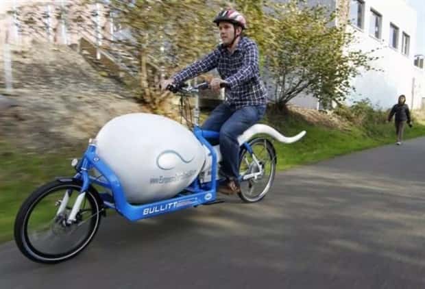 wild custom rides (9)