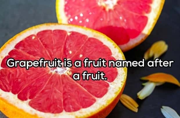 witty shower thoughts (11)