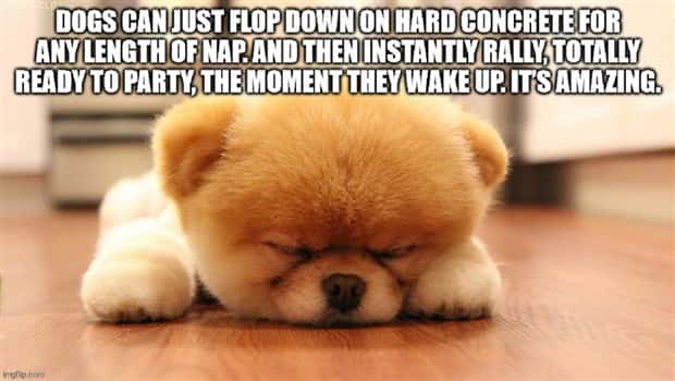 witty shower thoughts (12)