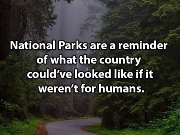 witty shower thoughts (17)