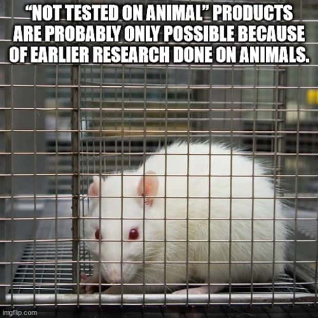witty shower thoughts (5)