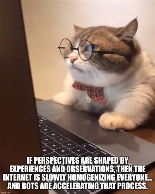 witty shower thoughts (6)