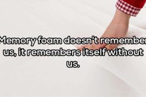 Funny Shower Thoughts That Sound Smart #221 (20 photos)