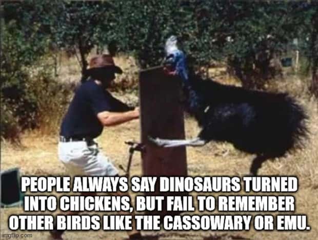 witty shower thoughts (9)