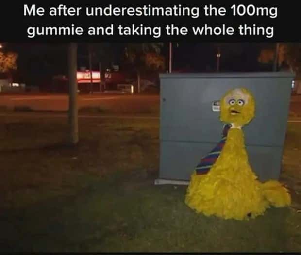 amusing pics and memes (11)