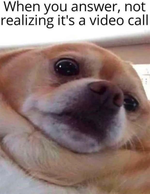 amusing pics and memes (12)