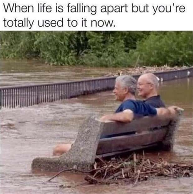 amusing pics and memes (2)
