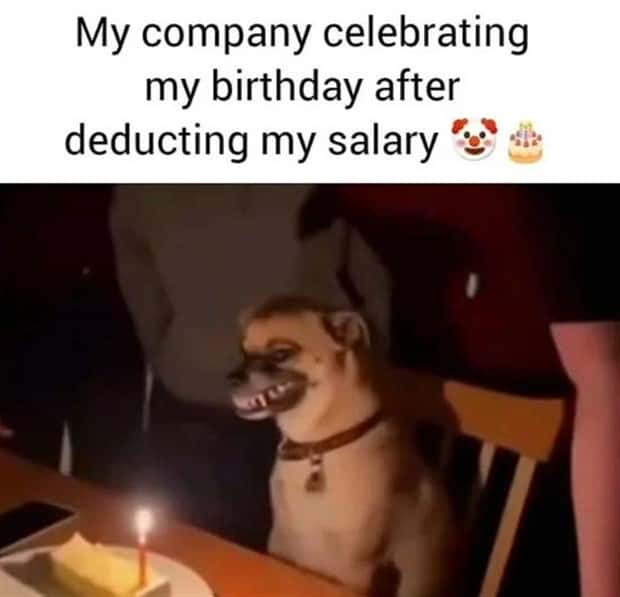 amusing pics and memes (5)