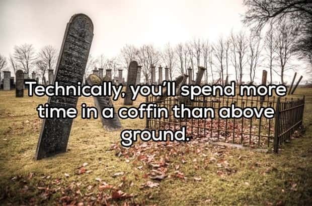 amusing shower thoughts (18)