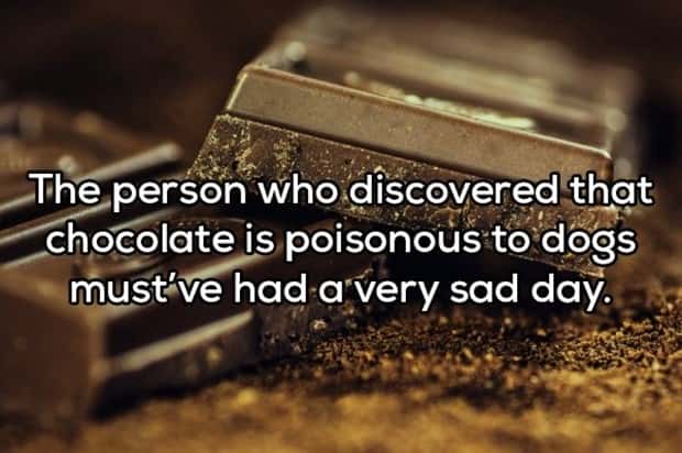 amusing shower thoughts (19)