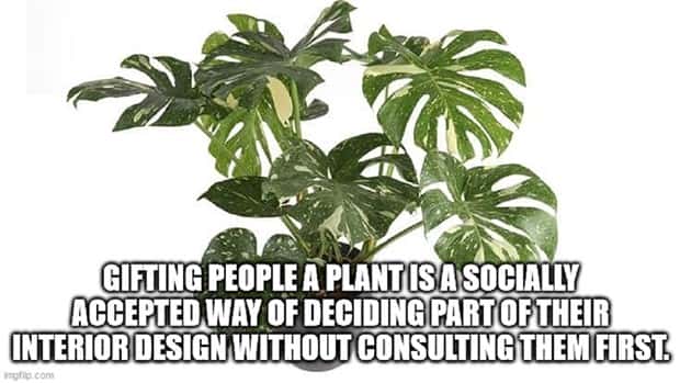 amusing shower thoughts (3)