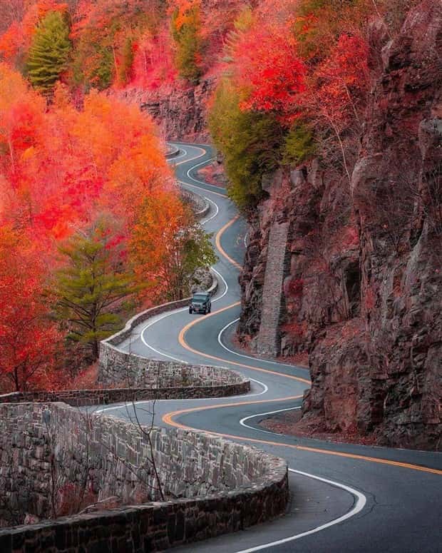 awesome photos (10)