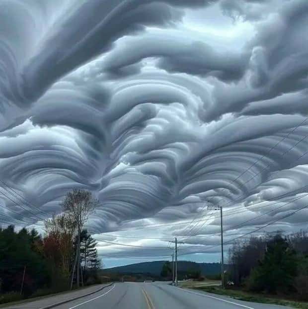 awesome photos (13)
