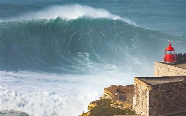 awesome photos (15)