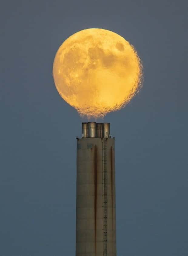 awesome photos (4)