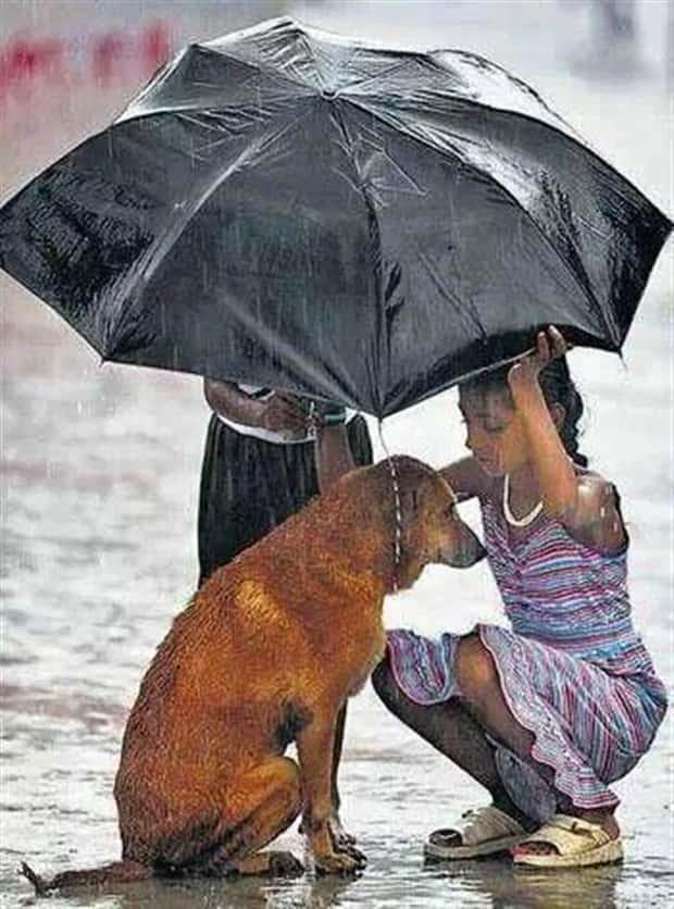 awesome pictures (11)