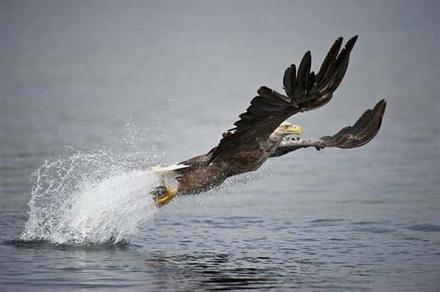 awesome pictures (14)