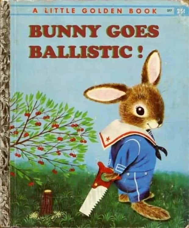 banned kids books (15)