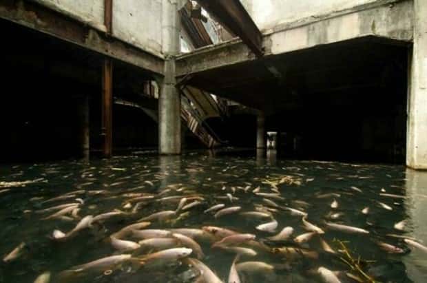 beautiful abandoned places (8)