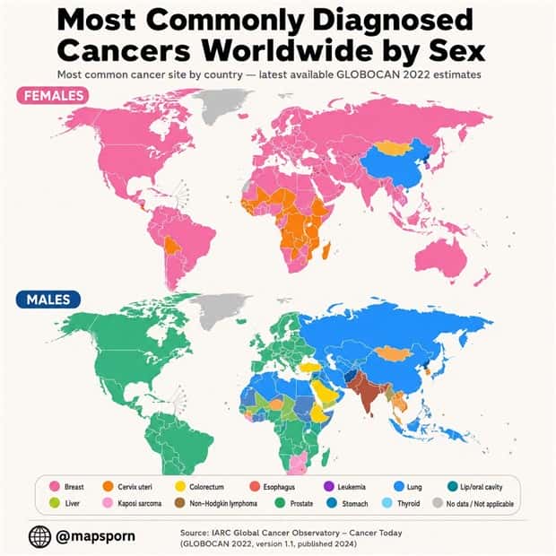 charts and maps (3)