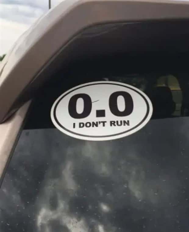 clever bumper stickers (11)