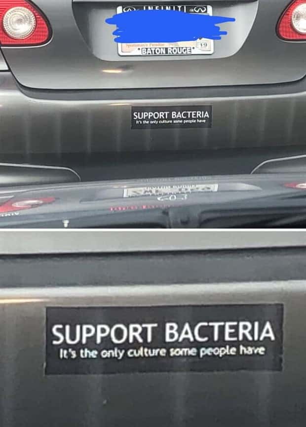 clever bumper stickers (13)