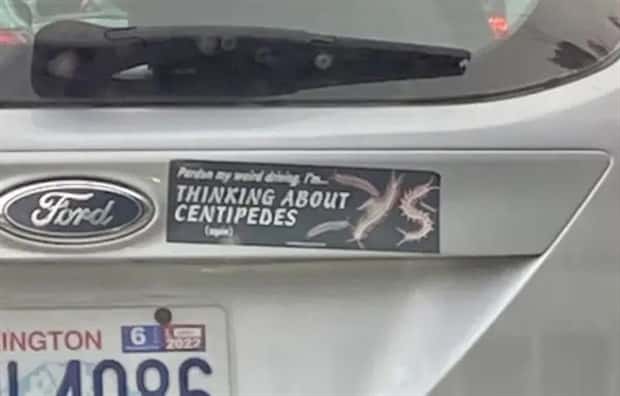 clever bumper stickers (7)