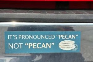 Clever Bumper Stickers You’ll Wish You Had (20 photos)