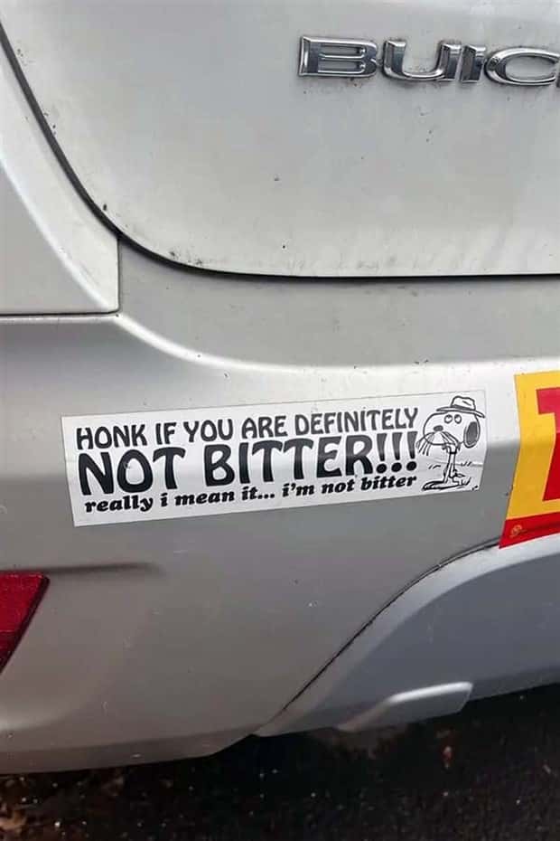 clever bumper stickers (9)
