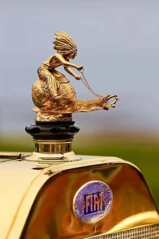 creative hood ornaments (1)