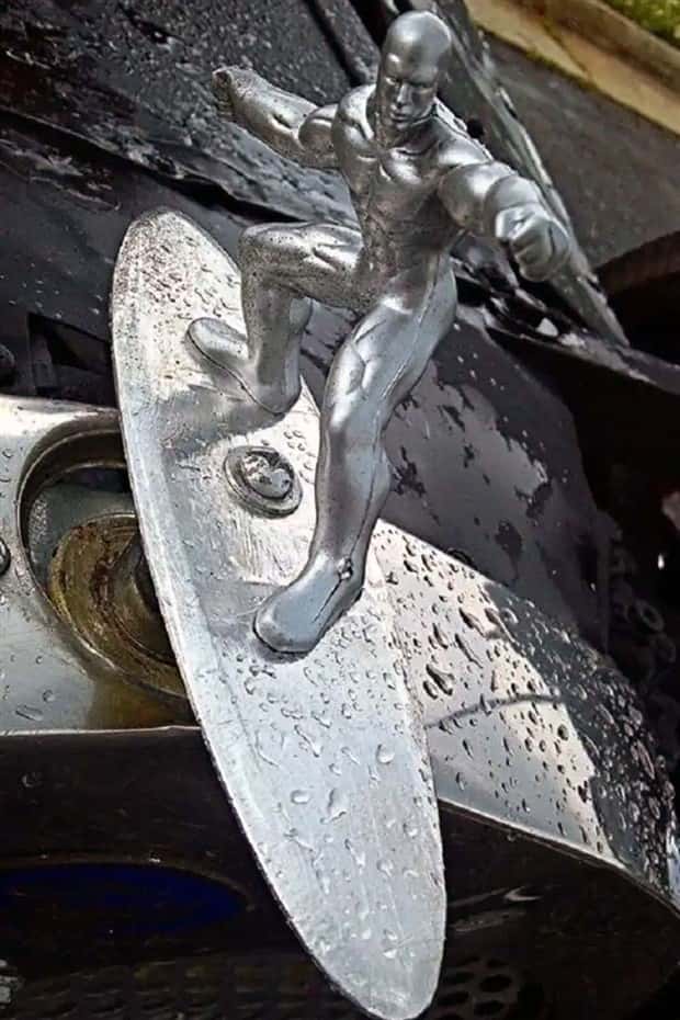 creative hood ornaments (10)