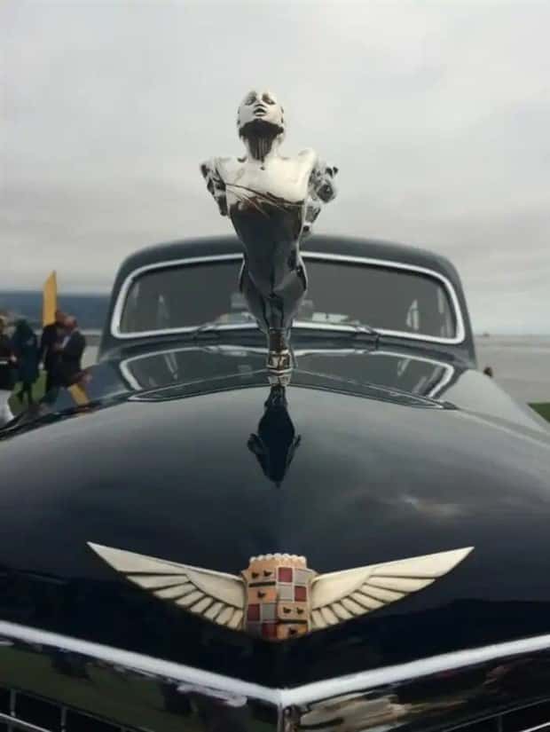 creative hood ornaments (12)