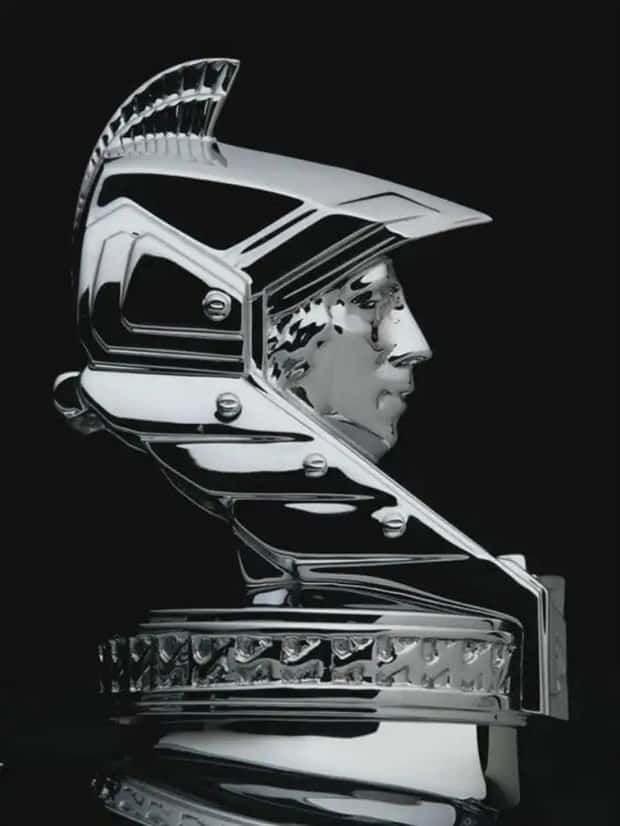 creative hood ornaments (13)