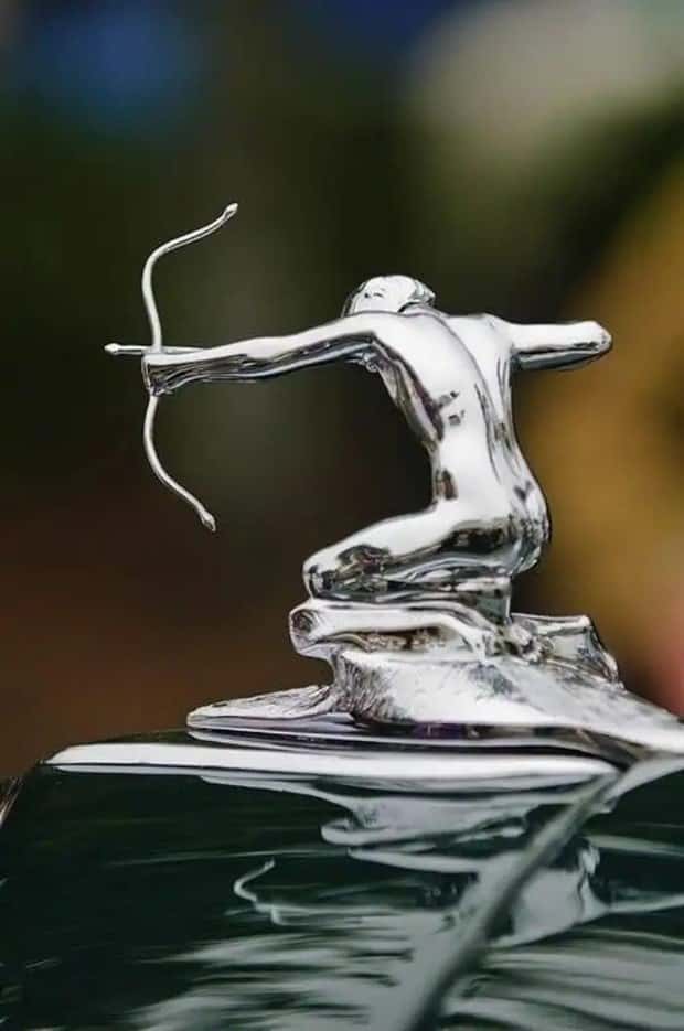 creative hood ornaments (14)