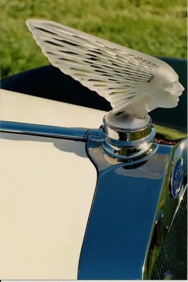 creative hood ornaments (15)
