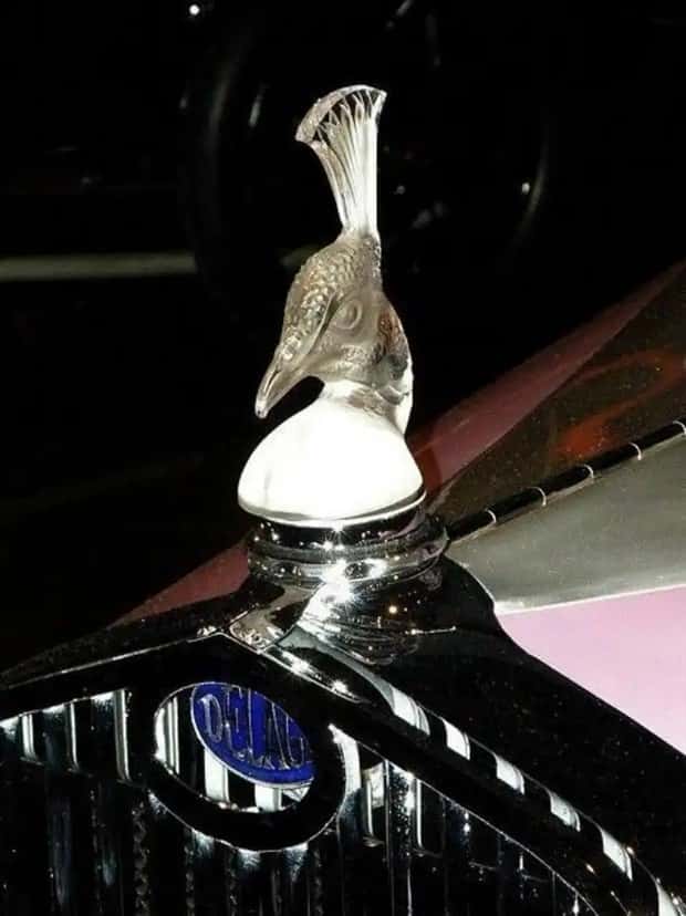 creative hood ornaments (16)