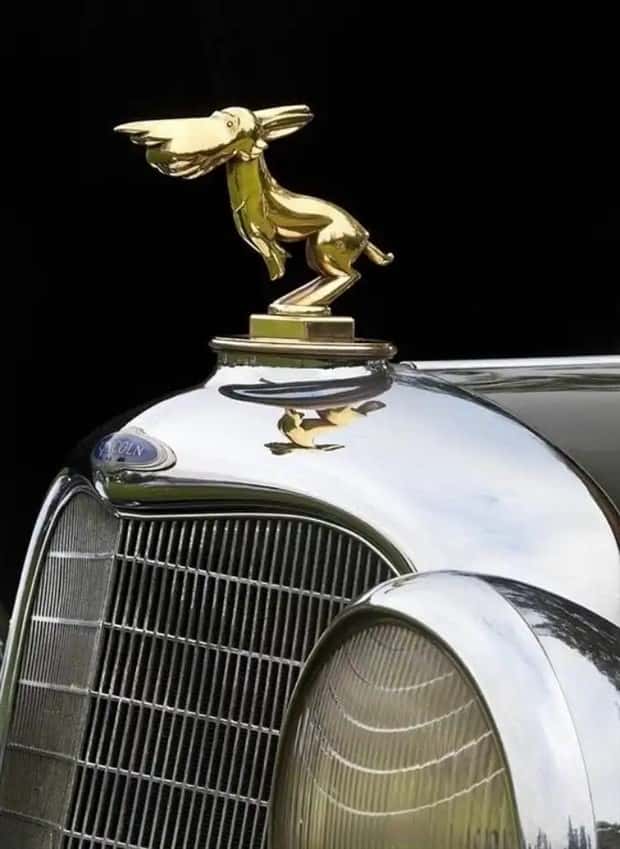 creative hood ornaments (17)