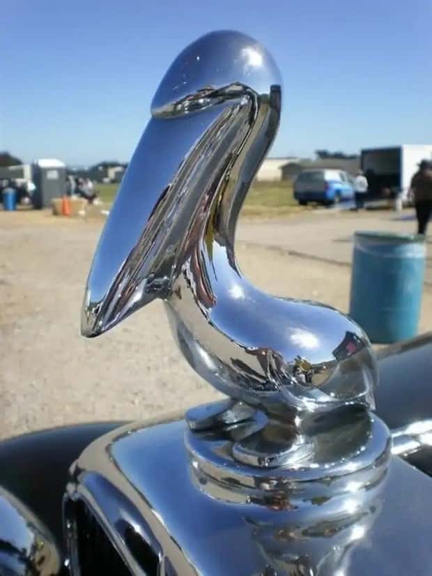creative hood ornaments (18)
