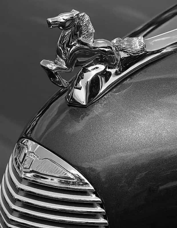 creative hood ornaments (19)