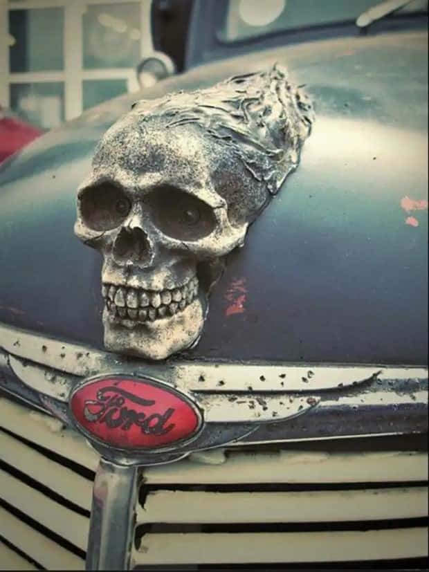 creative hood ornaments (20)