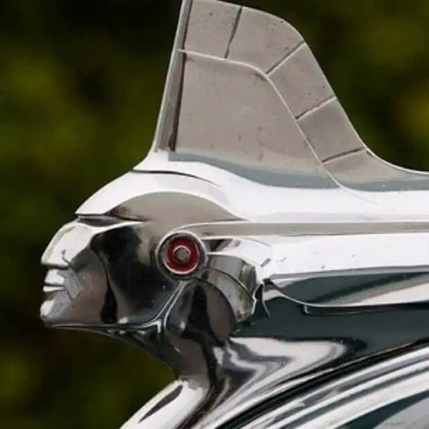 creative hood ornaments (21)