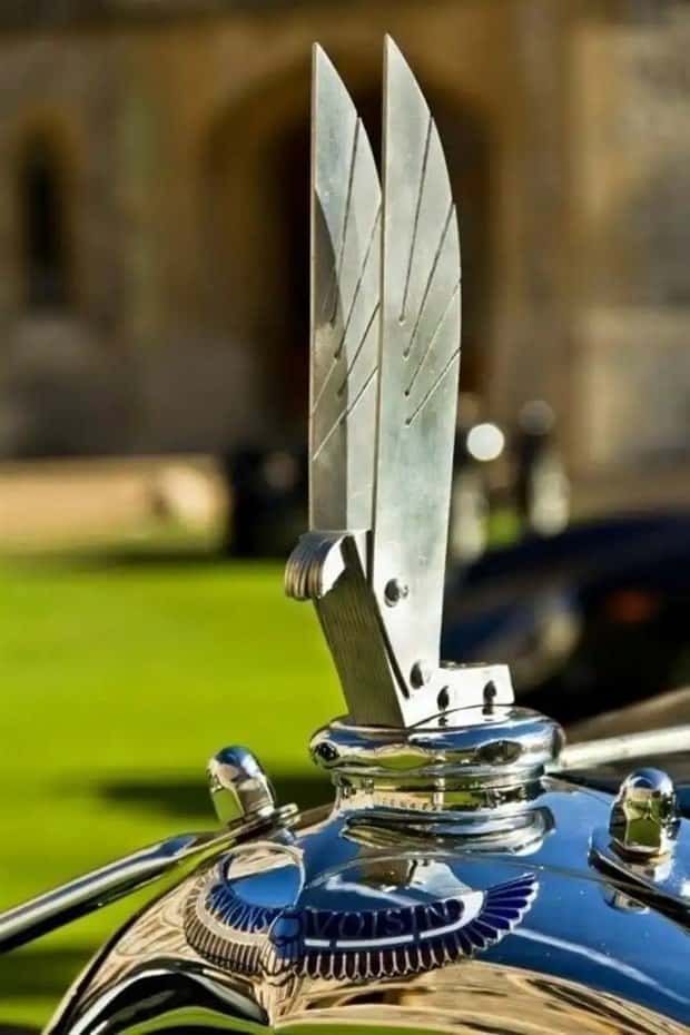 creative hood ornaments (25)
